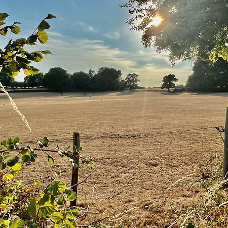 Arniss Farmhouse Fordingbridge Eksteriør bilde